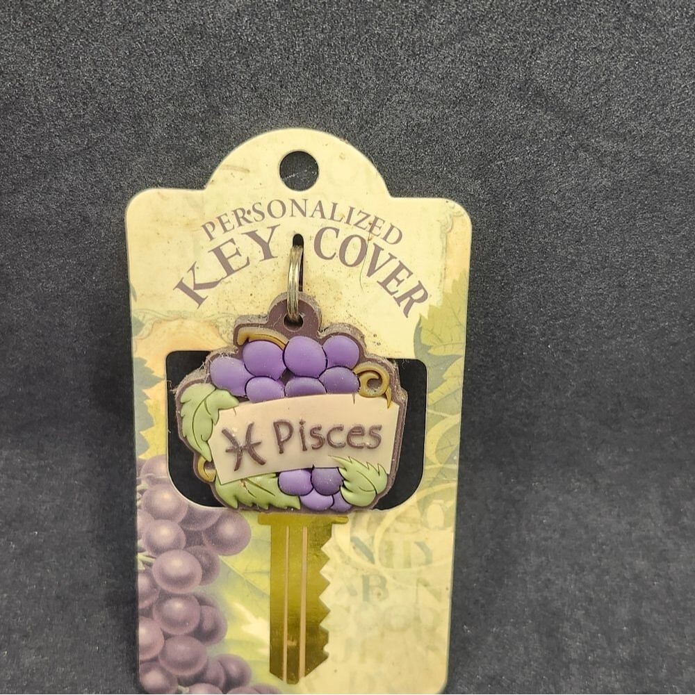 Pisces  Key Cover